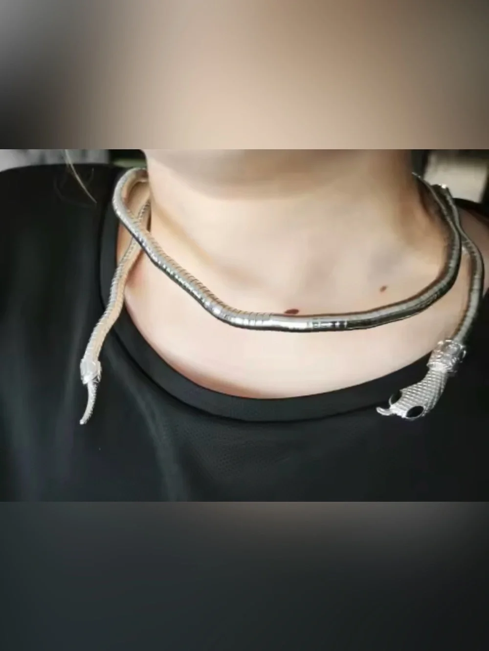 Silver Snake Coil Reptile Bracelet for Pets